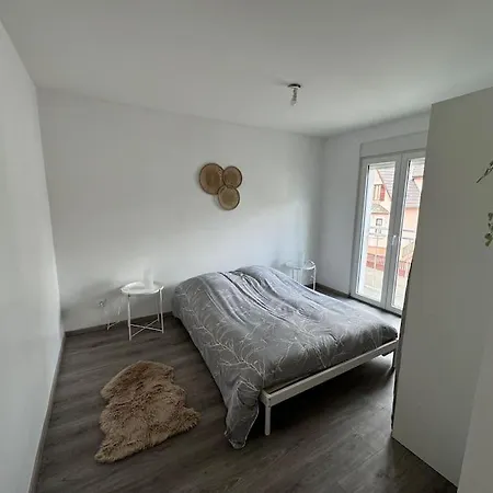 Instant Cosy Apartment Strasbourg