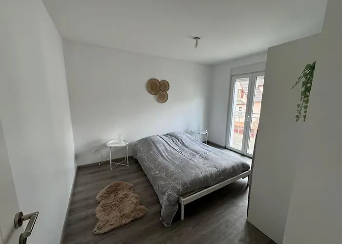 Instant Cosy Apartment Strasbourg